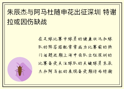 朱辰杰与阿马杜随申花出征深圳 特谢拉或因伤缺战