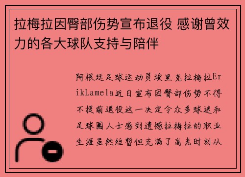 拉梅拉因臀部伤势宣布退役 感谢曾效力的各大球队支持与陪伴